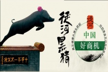  徒河黑豬加盟招商  引領(lǐng)健康飲食新風尚