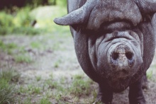 張訓照：像愛護生命一樣愛護產(chǎn)品品質(zhì) 