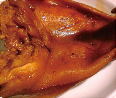 招商加盟好項目