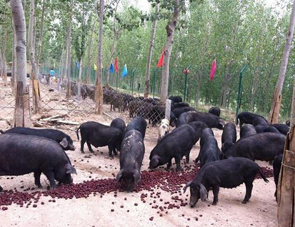 創(chuàng)業(yè)加盟找項(xiàng)目