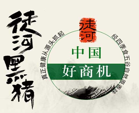 加盟創(chuàng)業(yè)好項目