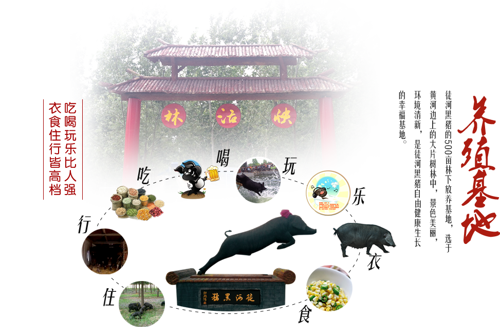 吃喝玩樂比人強，衣食住行皆高檔