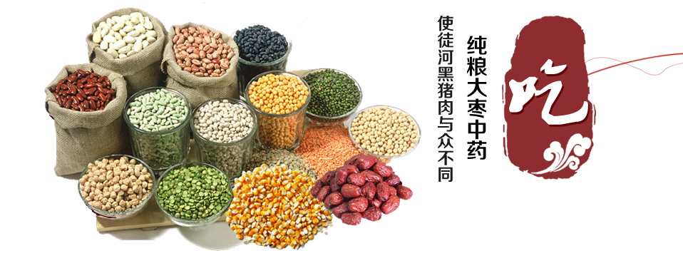吃純糧大棗中藥