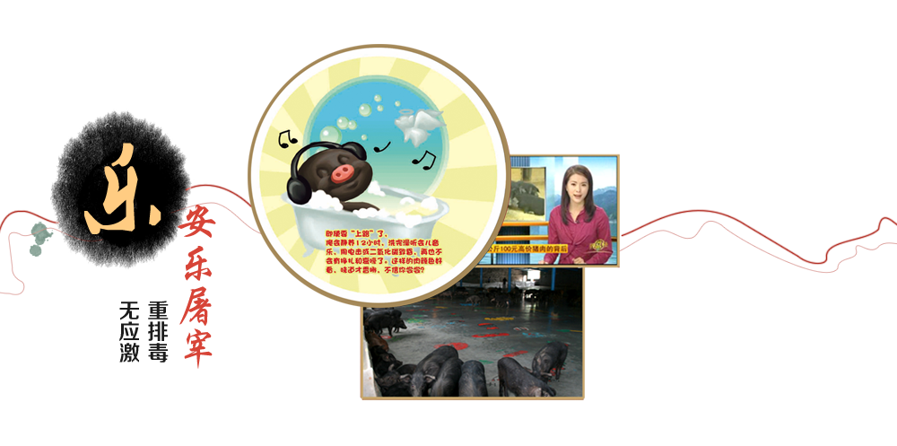 安樂屠宰無應激重排毒